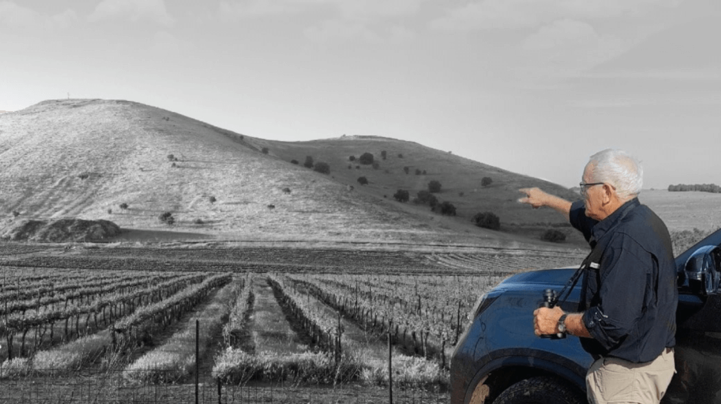 שוקי בן ענת - בקו התילים